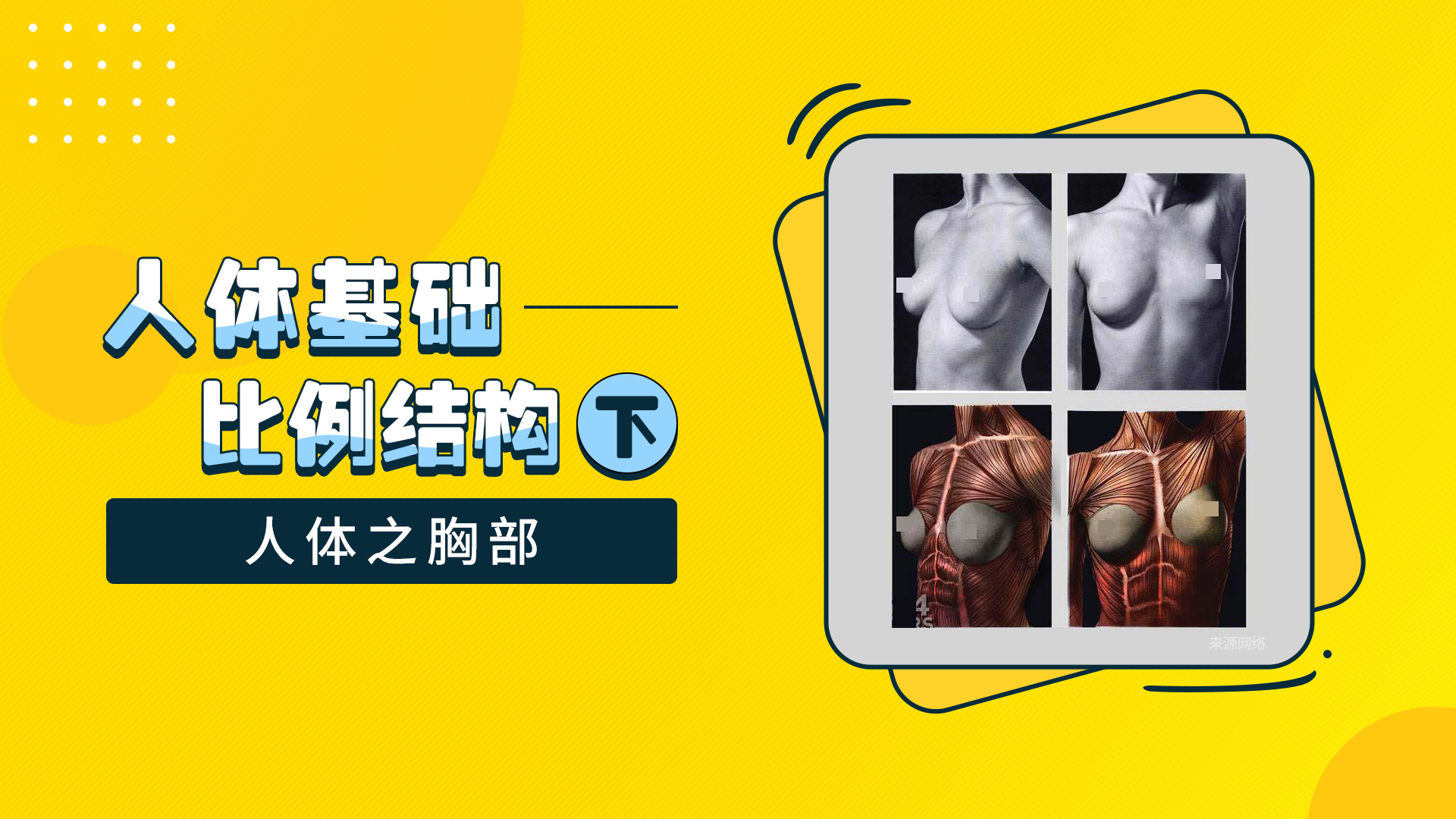 1606108352794/人体胸部的画法.jpg